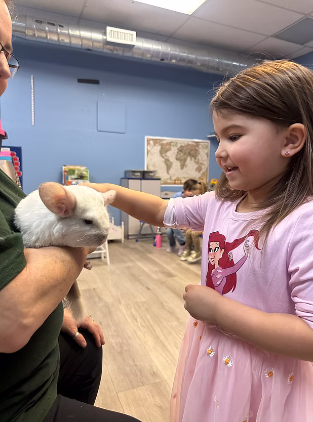 Learning through play in the classroom